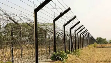 সিলেট সীমান্তে বিএসএফের পুশ ইন, ২১ বাংলাদেশির অনুপ্রবেশের অভিযোগ