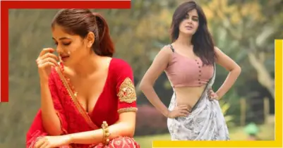 ডিসেম্বরে বিয়ের পিঁড়িতে বসছেন মধুমিতা!