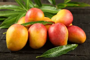 ভুলেও আমের সঙ্গে খাবেন না এই চারটি খাবার