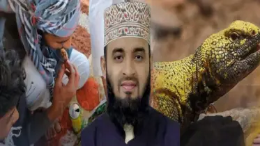 ভাইরাল সান্ডা নিয়ে যা বললেন মিজানুর রহমান আজহারী