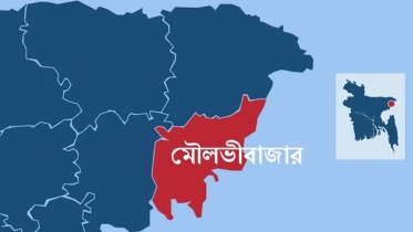 মৌলভীবাজার সীমান্ত দিয়ে বাংলাদেশে পুশইন ১৫০ জন, আটক ১৫ জন