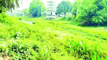 খরস্রোতা বড়াল এখন মরা খাল