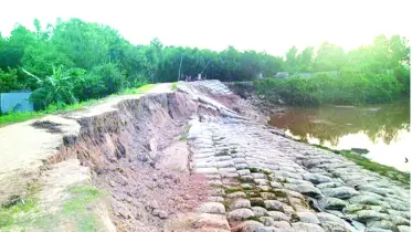 হালদা নদীর বাঁধে ফের ফাটল