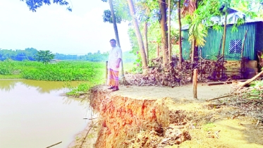 চেল্লাখালী নদী ভাঙনে হুমকিতে বসতবাড়ি
