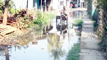 নড়াইল পৌরসভার সড়ক বেহাল