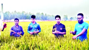 সৈয়দপুরে ইটভাঁটির ধোঁয়ায় পুড়ছে চাষির স্বপ্ন
