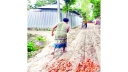 এলাকাবাসীর অর্থায়নে রাস্তা মেরামত