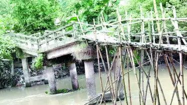 ঘিওরে বাঁশের সাঁকো দিয়ে ঝুঁকিপূর্ণ পারাপার