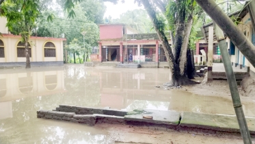সাটুরিয়ায় সামান্য বৃষ্টিতেই বিদ্যালয়ের সামনে হাঁটুপানি
