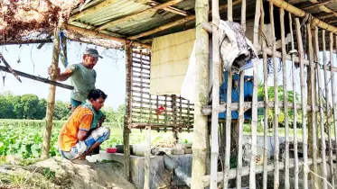 মেহেরপুরে চাষাবাদ ব্যাহত