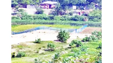 তদারকির অভাবে ফিরছে পূর্বের দশায়
