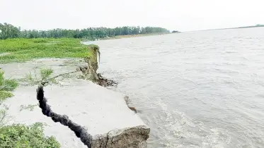 টাঙ্গাইলে যমুনা নদীতে ভাঙন শুরু