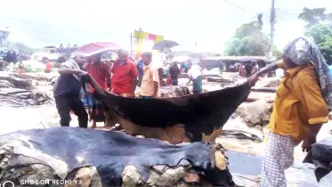 সুদিন ফেরেনি রাজারহাটের চামড়া বাজারে