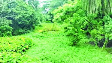 দখল-দূষণে ব্যবহারের অনুপযোগী 
