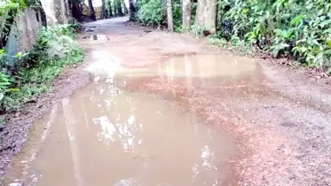 পৌরসভার পাঁচটি সড়কে যান চলাচল বন্ধ