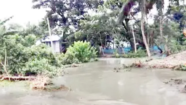 প্রভাবশালীদের দখলে সরকারি খাল
