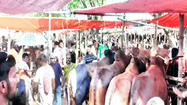 নারায়ণগঞ্জে সড়কে খানাখন্দ সংস্কার দাবি