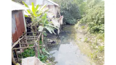 দখল-দূষণে মুরাদিয়া নদী এখন মরা খাল