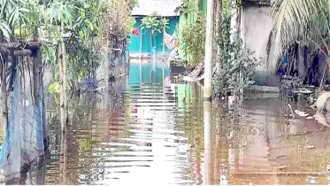 নোয়াখালীতে এখনো পানিবন্দি মানুষ