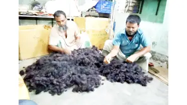 ফেলে দেওয়া চুল যাচ্ছে বিদেশে