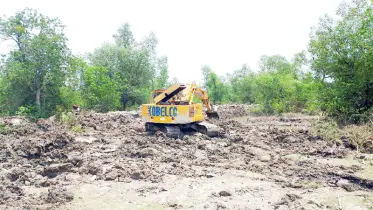 বরগুনায় বন কেটে মৎস্য ঘের তৈরির মহোৎসব