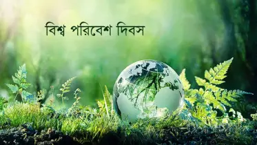 বিশ্ব পরিবেশ দিবস পালিত