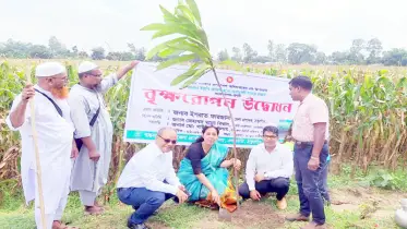 ঠাকুরগাঁওয়ে ১০ লাখ বৃক্ষরোপণ কর্মসূচির উদ্বোধন