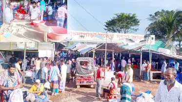 অনুমোদনহীন মাছ বাজার, সরকার হারাচ্ছে রাজস্ব