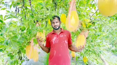 বর্ষায় রসালো তরমুজের আবাদ করলেন কৃষক দুলাল মিয়া