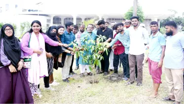 খুবিতে মীর মুগ্ধ’র স্মরণে বৃক্ষরোপণ কর্মসূচি