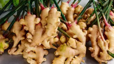 গলা খুসখুস হলে আদা খাওয়ার অভ্যাস? জানুন, কি হতে পারে পার্শ্বপ্রতিক্রিয়া!