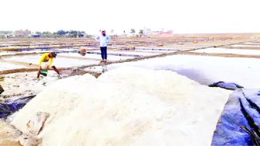 লবণে উৎপাদন খরচও উঠছে না, লোকসানে প্রান্তিক চাষি