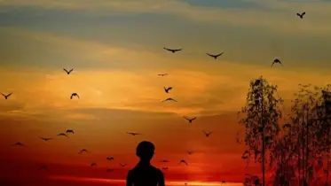 প্রেম: ছায়াঘেরা এক রঙিন মরীচিকা