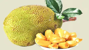 গরমে ক্লান্তি দূর করবে কাঁঠাল! জেনে নিন এর ৬টি আশ্চর্য উপকারিতা