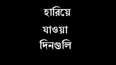 হারিয়ে যাওয়ার দিনগুলি