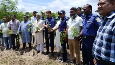 পরিবেশ রক্ষায় ট্যুরিস্ট পুলিশের উদ্যোগে বৃক্ষরোপণ