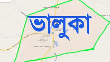 ভালুকায় ইঁদুর মারার ট্যাবলেট খেয়ে স্কুল ছাত্রীর আত্মহত্যা