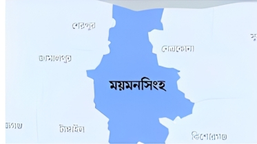 ছেলের আত্মহত্যার পর মায়ের হৃদয়বিদারক মৃত্যু, এলাকায় শোকের ছায়া