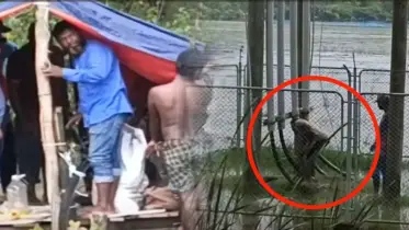 নদীর তলে গিয়ে সাবমেরিন ক্যাবল চুরির চেষ্টা, অতঃপর