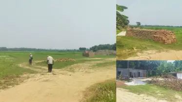ফসলী জমিতে ইটভাটা নির্মাণের ঘটনায় পরিবেশ আদালতের তদন্তের নির্দেশ