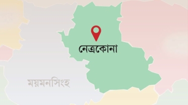 নেত্রকোনার দুর্গাপুরে বজ্রপাতে এক কৃষকের দুটি গরু মারা গেছে