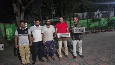কুষ্টিয়ায় ৪০টি দেশি শালিক পাখি উদ্ধার