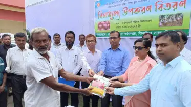 ঝিনাইদহে কৃষকদের মাঝে বিনামূল্যে পেঁয়াজের বীজ-সার বিতরণ