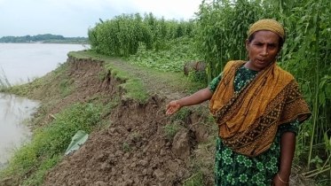 বর্ষার শুরুতেই গড়াইয়ের তাণ্ডবে মানচিত্র থেকে হারাতে বসেছে বড়রিয়া গ্রাম