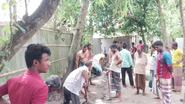 ফুলবাড়ীতে সেচ পাম্পে বিদ্যুৎ সংযোগ দিতে গিয়ে মুয়াজ্জিনের মৃত্যু