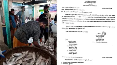 এক মাসে বিনামূল্যে হাতিয়ে নেওয়া হলো ৩৫৭ মণ ইলিশ