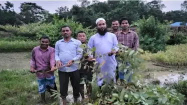 সীতাকুণ্ডে ৯০ হাজার নিষিদ্ধ চারা গাছ ধ্বংস করল কৃষি অধিদপ্তর