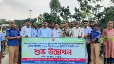 খানসামায় ৬ ইউনিয়নে ৪২ হাজার বৃক্ষরোপণ 