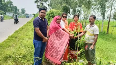 প্রাকৃতিক ভারসাম্য রক্ষায় বদলগাছীতে ইউএনওর বৃক্ষরোপণ কর্মসূচি