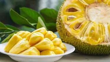 কাঁঠাল খেয়ে বাস চালানোয় ৩ চালক গ্রেফতার 
